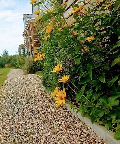 Poczekajka * 萨希诺